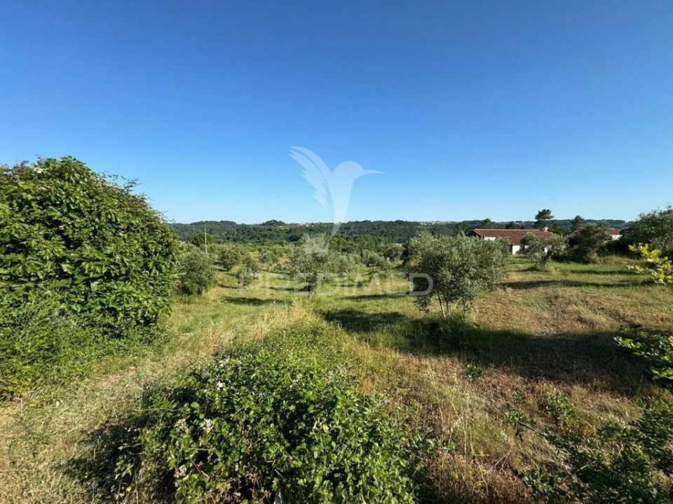 Terreno para Venda em Seiça Foto 4