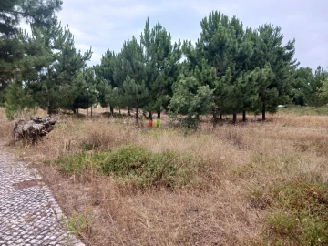 Terreno para Venda em Sesimbra (Castelo)