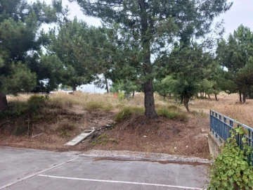Terreno para Venda em Sesimbra (Castelo)