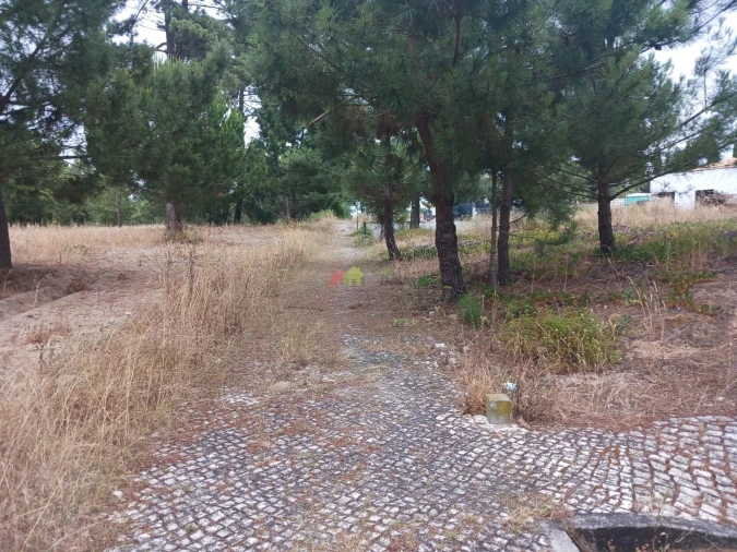 Terreno para Venda em Sesimbra (Castelo) Foto 14