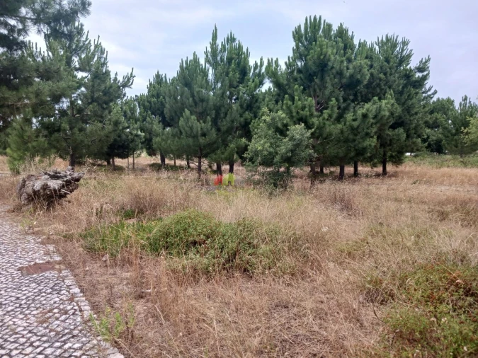 Terreno para Venda em Sesimbra (Castelo) Foto 9