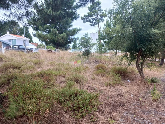 Terreno para Venda em Sesimbra (Castelo) Foto 12