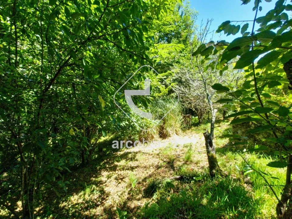 Moradia T2 para Venda em Souto e Tabaçô Foto 9