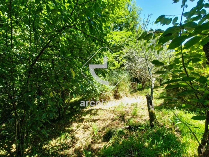 Moradia T2 para Venda em Souto e Tabaçô Foto 9