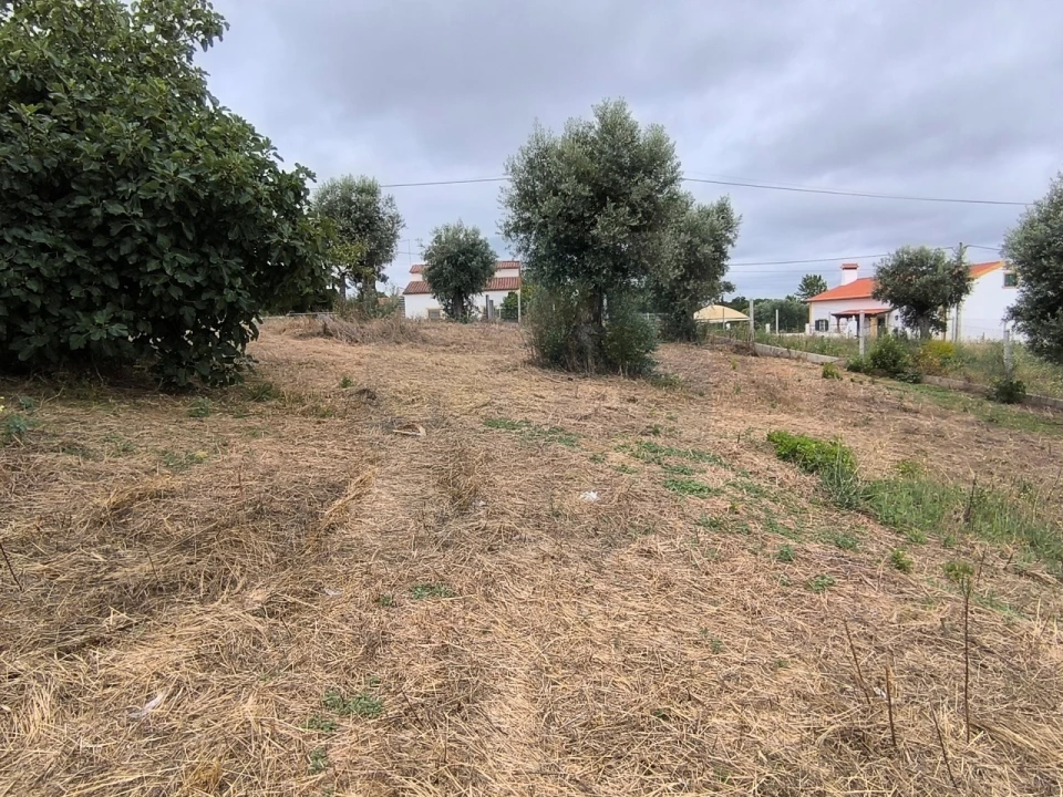 Moradia para Venda em Mouriscas Foto 3