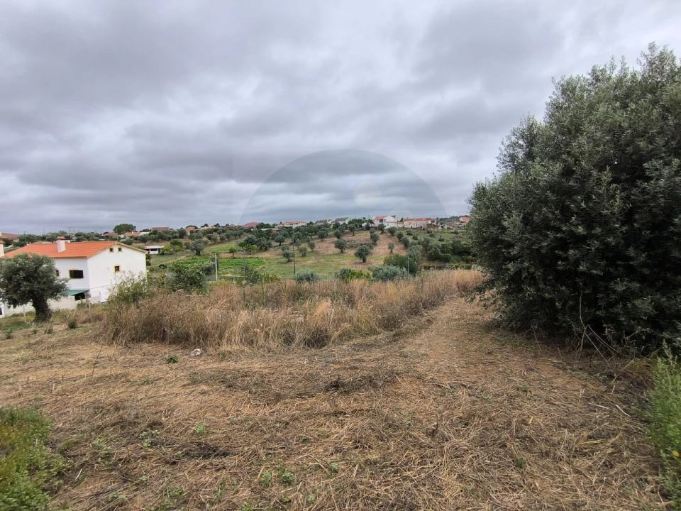 Moradia para Venda em Mouriscas Foto 4