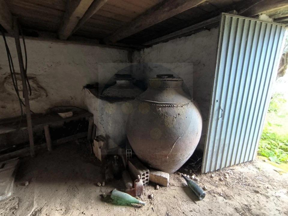 Moradia para Venda em Mouriscas Foto 5