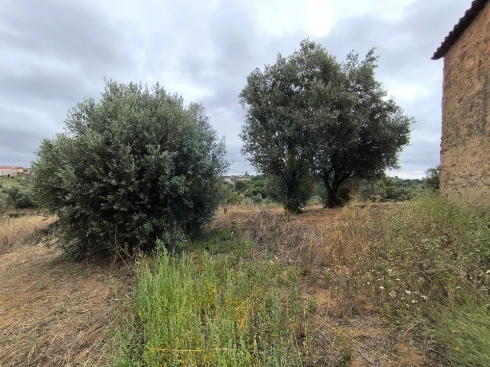 Moradia para Venda em Mouriscas Foto 21