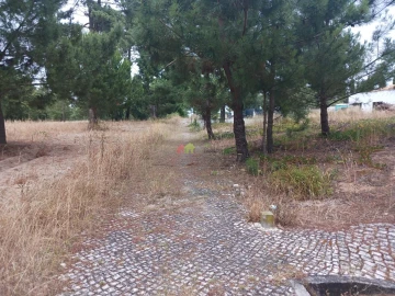 Terreno para Venda em Sesimbra (Castelo)