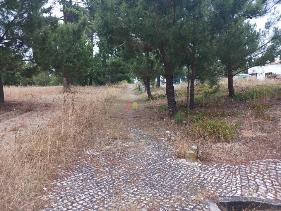 Terreno para Venda em Sesimbra (Castelo) Foto 11