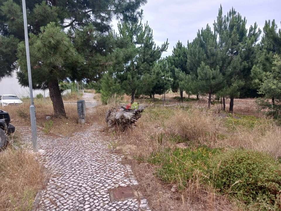Terreno para Venda em Sesimbra (Castelo) Foto 9
