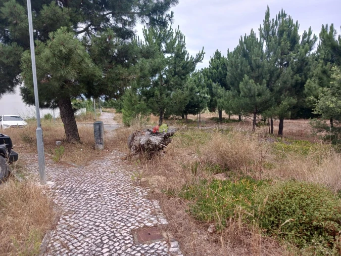 Terreno para Venda em Sesimbra (Castelo) Foto 9