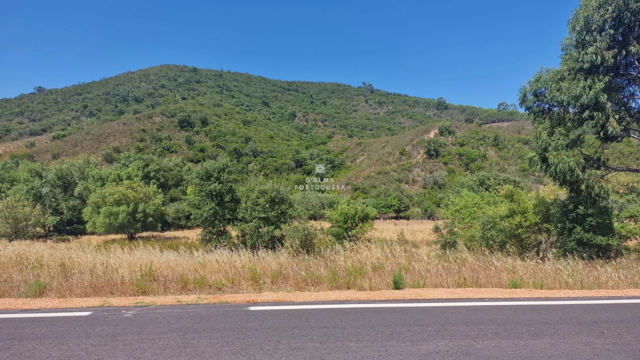 Terreno para Venda em São Marcos da Serra Foto 19