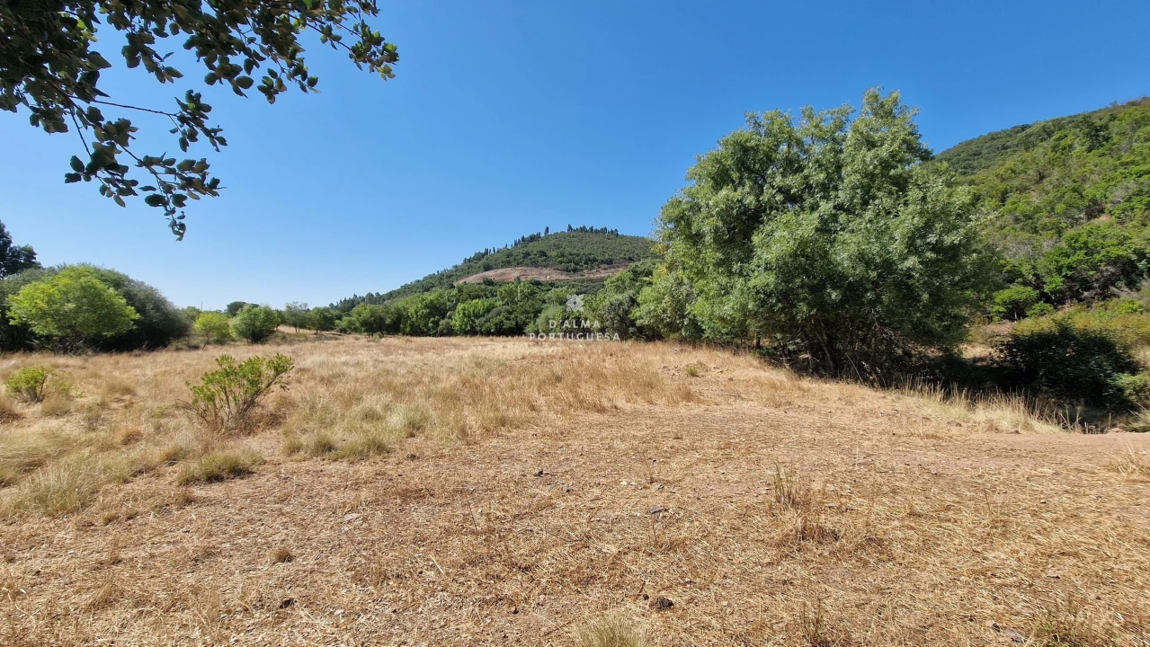 Terreno para Venda em São Marcos da Serra Foto 10