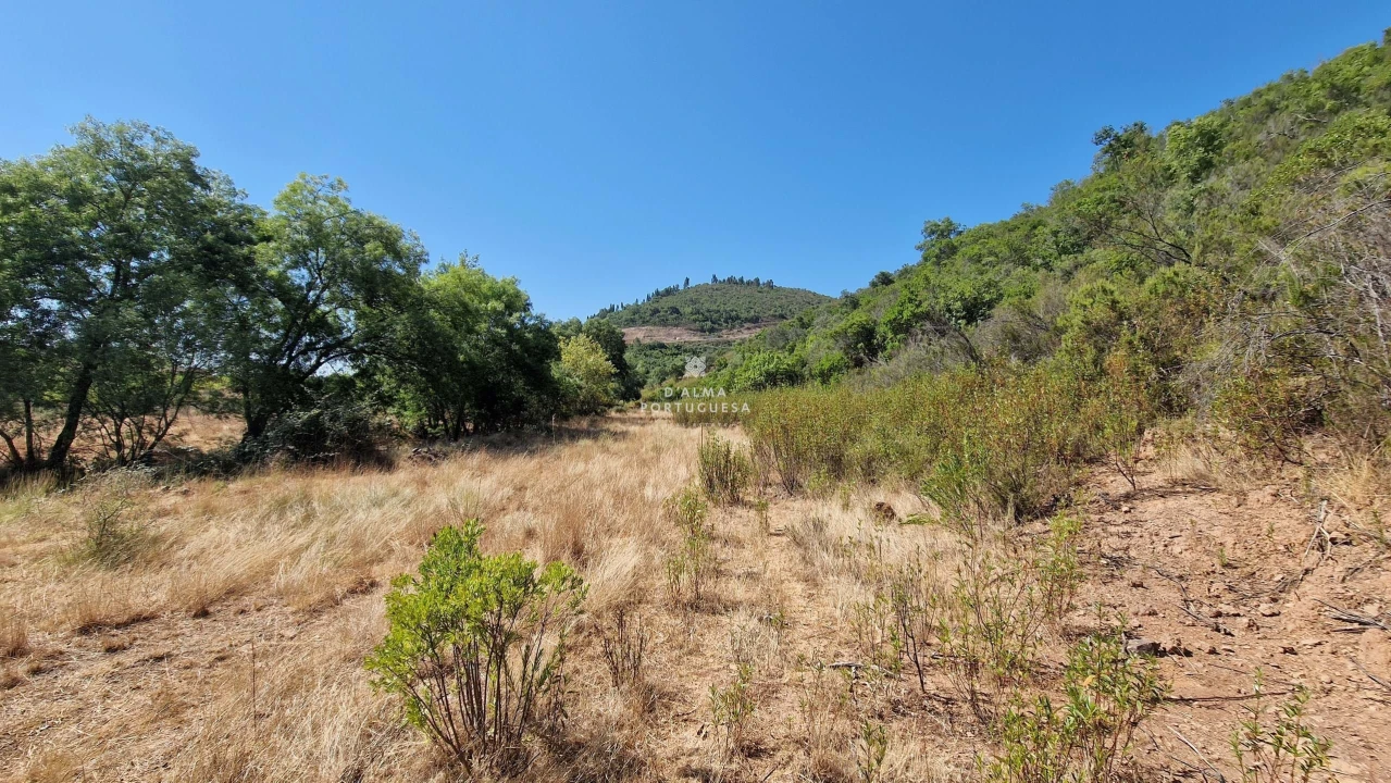 Terreno para Venda em São Marcos da Serra Foto 6