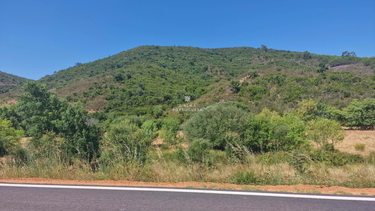 Terreno para Venda em São Marcos da Serra Foto 20