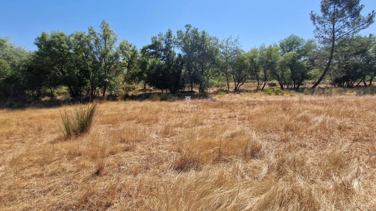 Terreno para Venda em São Marcos da Serra Foto 5