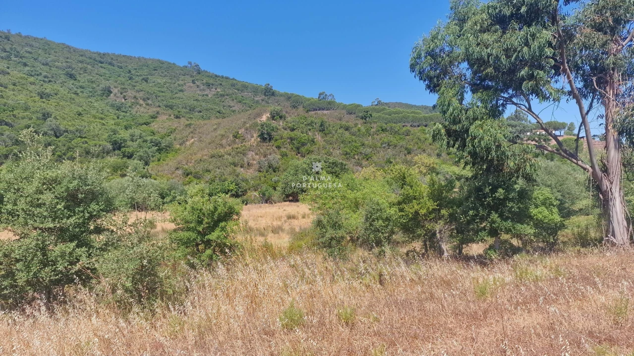Terreno para Venda em São Marcos da Serra Foto 16