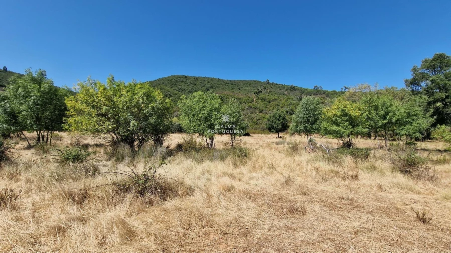 Terreno para Venda em São Marcos da Serra Foto 12