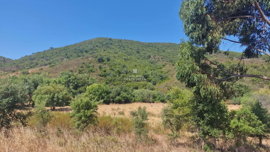 Terreno para Venda em São Marcos da Serra Foto 14