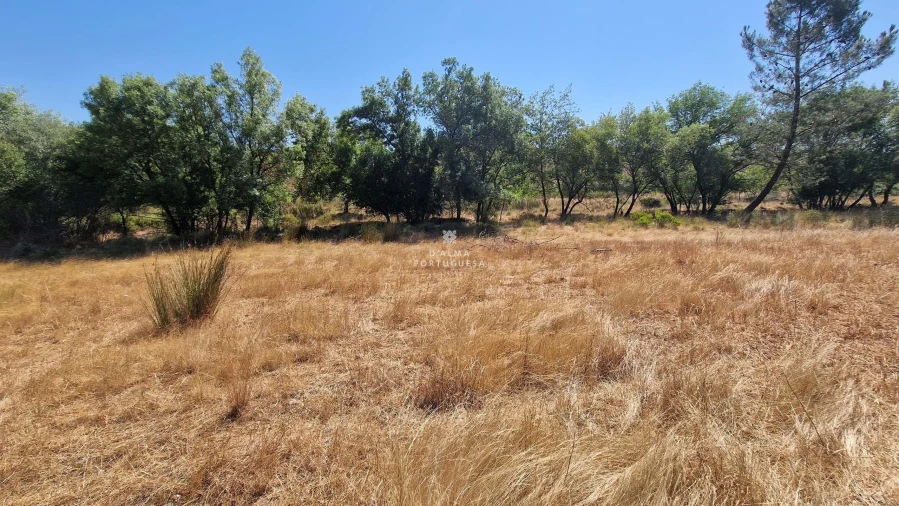 Terreno para Venda em São Marcos da Serra Foto 5