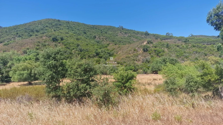 Terreno para Venda em São Marcos da Serra Foto 17