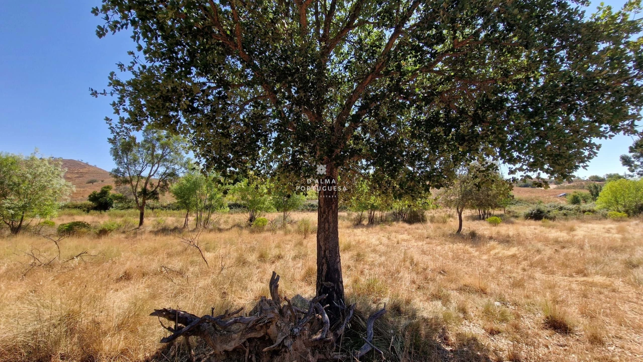 Terreno para Venda em São Marcos da Serra Foto 8