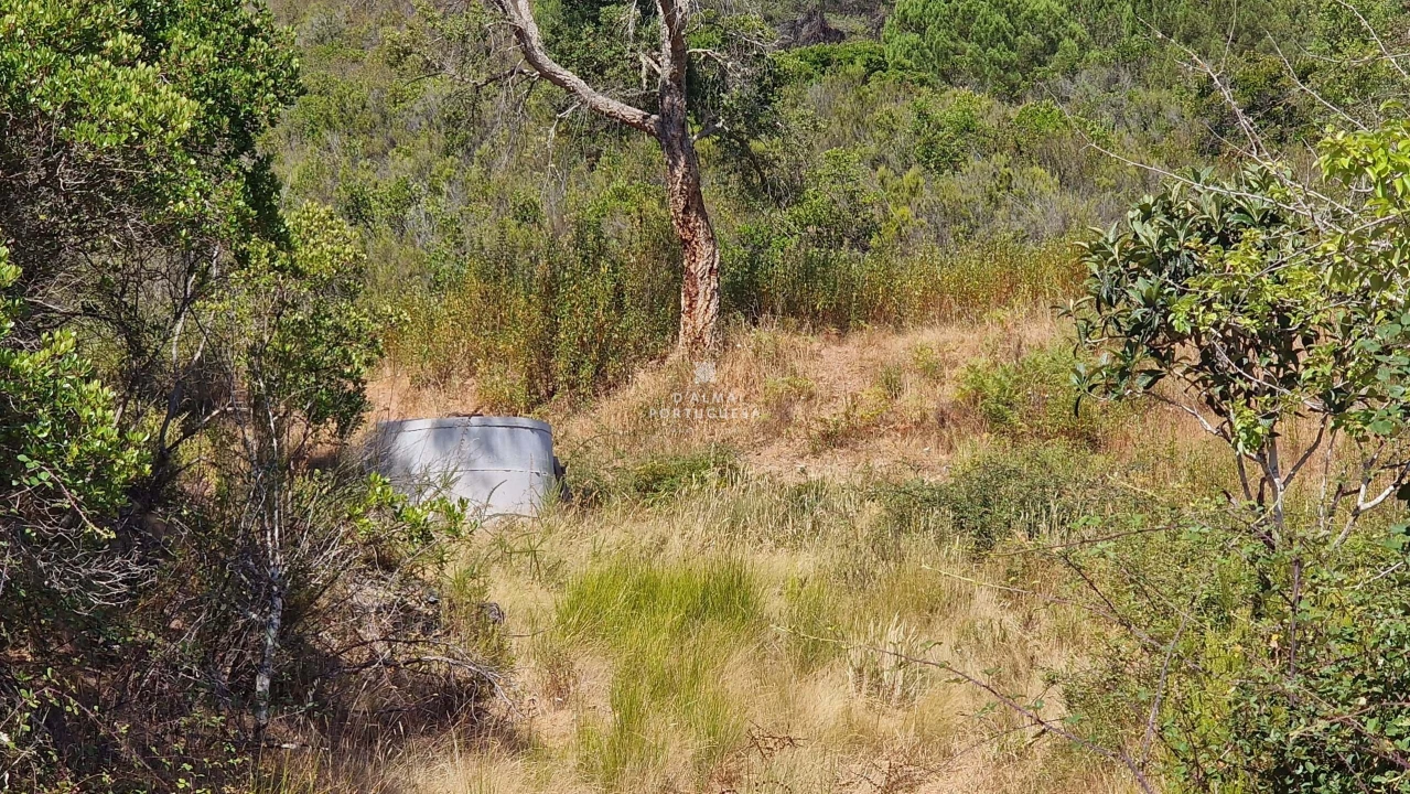Terreno para Venda em São Marcos da Serra Foto 4