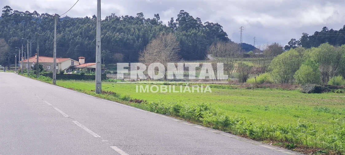 Terreno Agricola ou Rústico para Arrendamento em Caide de Rei Foto 17