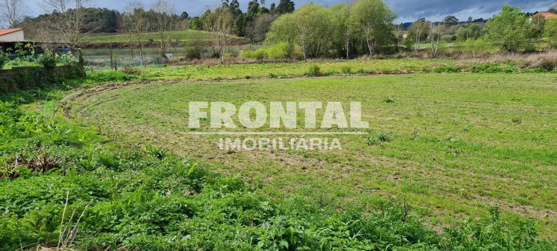 Terreno Agricola ou Rústico para Arrendamento em Caide de Rei Foto 25