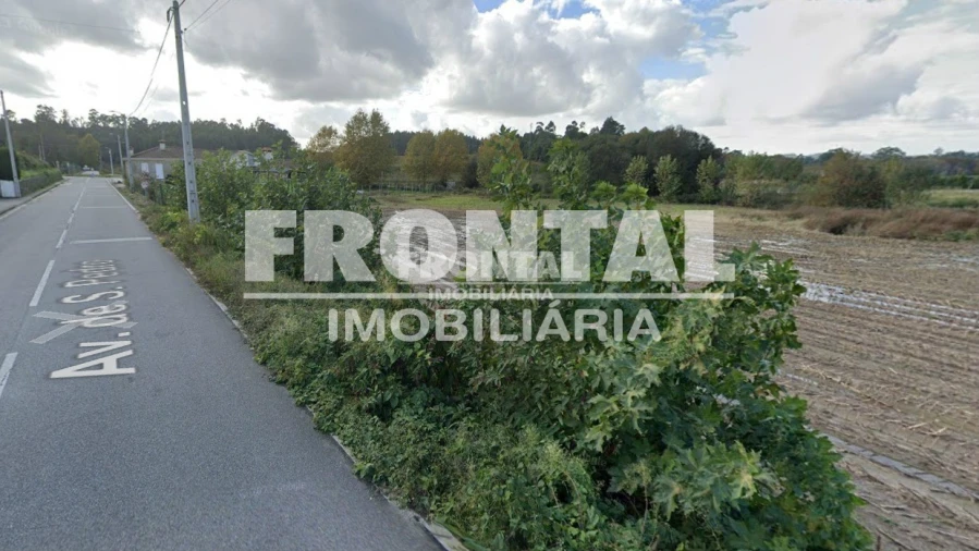 Terreno Agricola ou Rústico para Arrendamento em Caide de Rei Foto 6