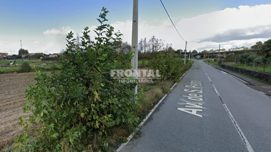 Terreno Agricola ou Rústico para Arrendamento em Caide de Rei Foto 4