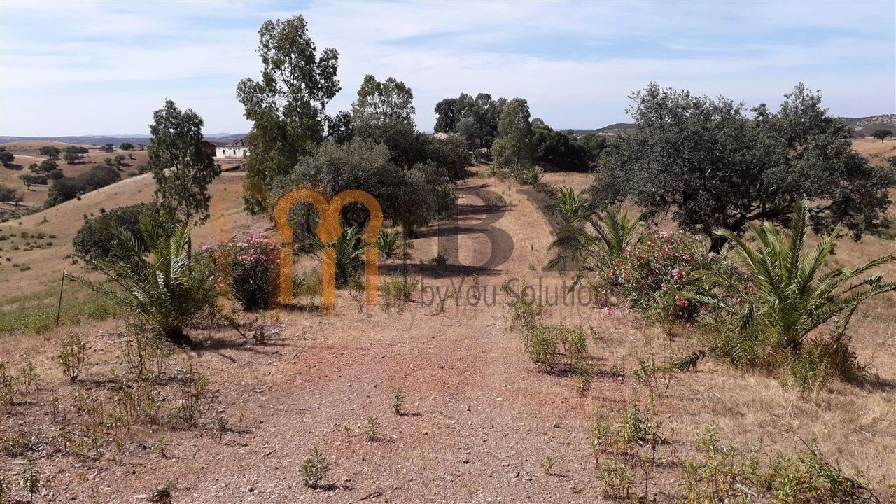 Quinta para Venda em Corte do Pinto Foto 2