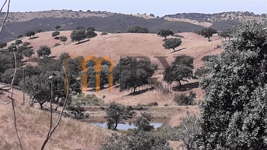 Quinta para Venda em Corte do Pinto Foto 3