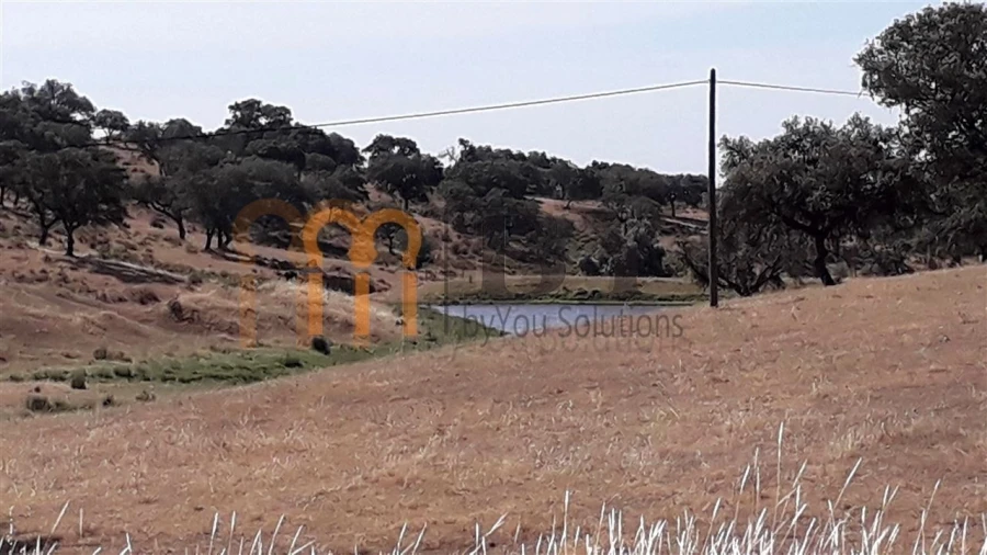 Quinta para Venda em Corte do Pinto Foto 5