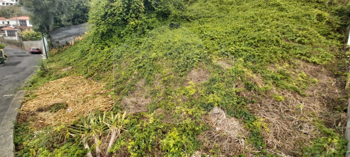 Terreno para Venda em Monte Foto 2