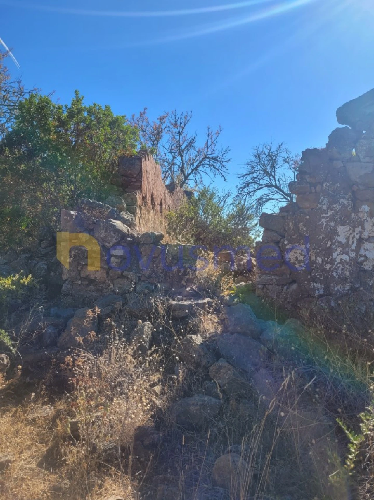 Terreno Misto para Venda em São Bartolomeu de Messines Foto 8