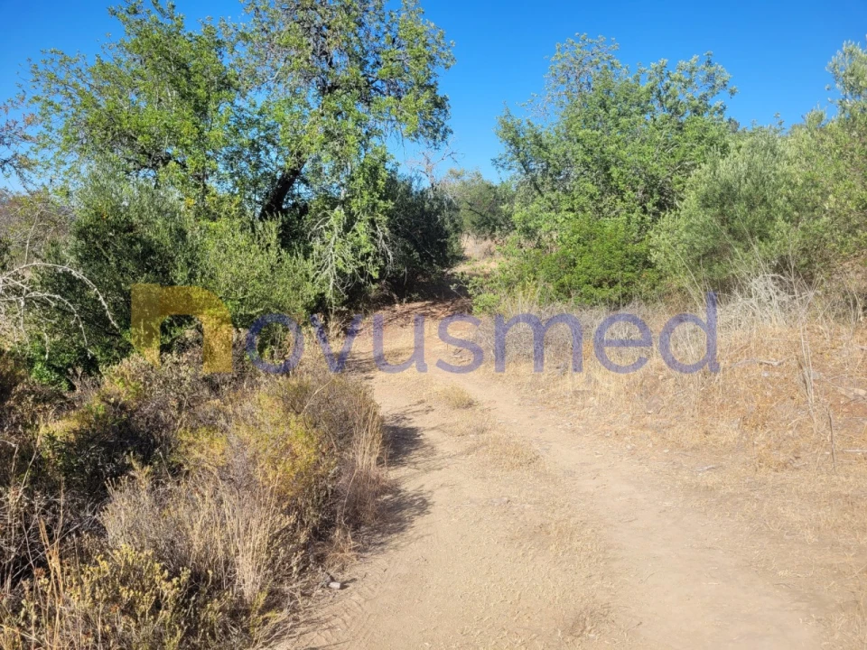Terreno Misto para Venda em São Bartolomeu de Messines Foto 11