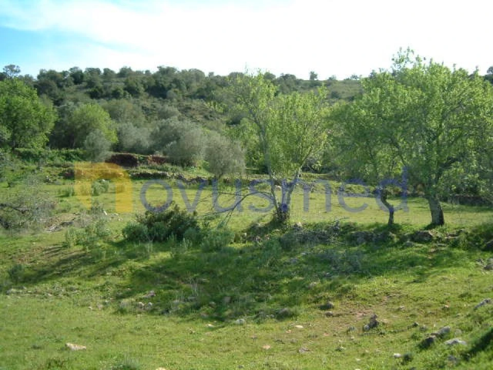 Terreno Misto para Venda em São Bartolomeu de Messines Foto 4