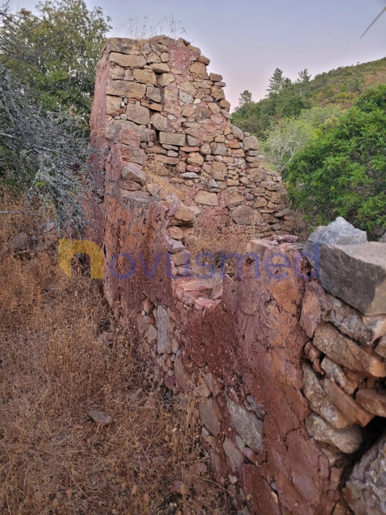 Terreno Misto para Venda em São Bartolomeu de Messines Foto 18