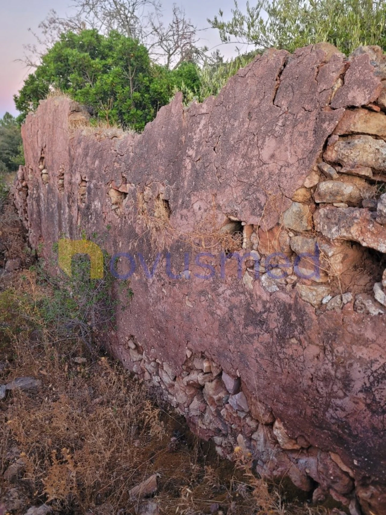 Terreno Misto para Venda em São Bartolomeu de Messines Foto 22