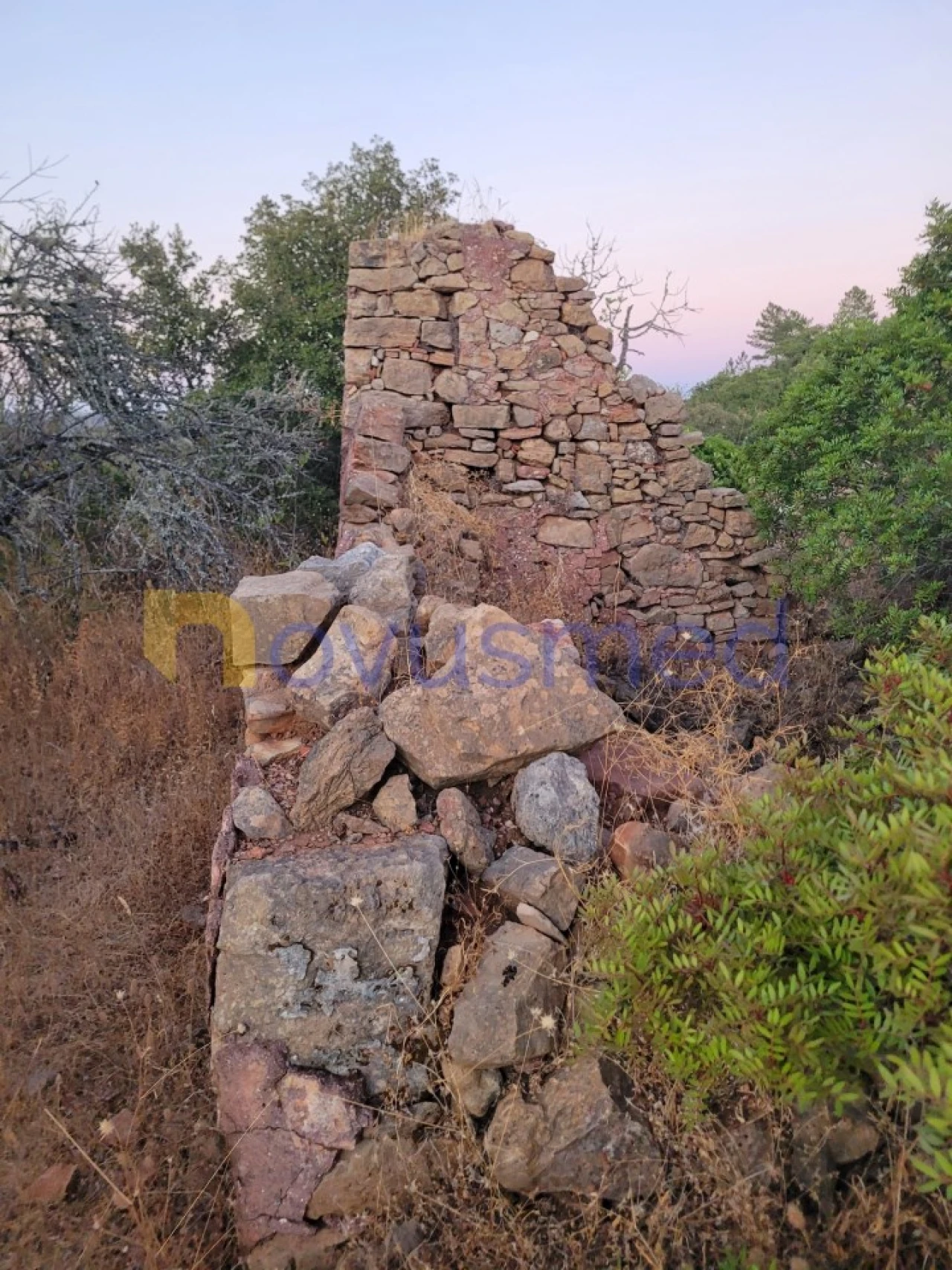 Terreno Misto para Venda em São Bartolomeu de Messines Foto 24