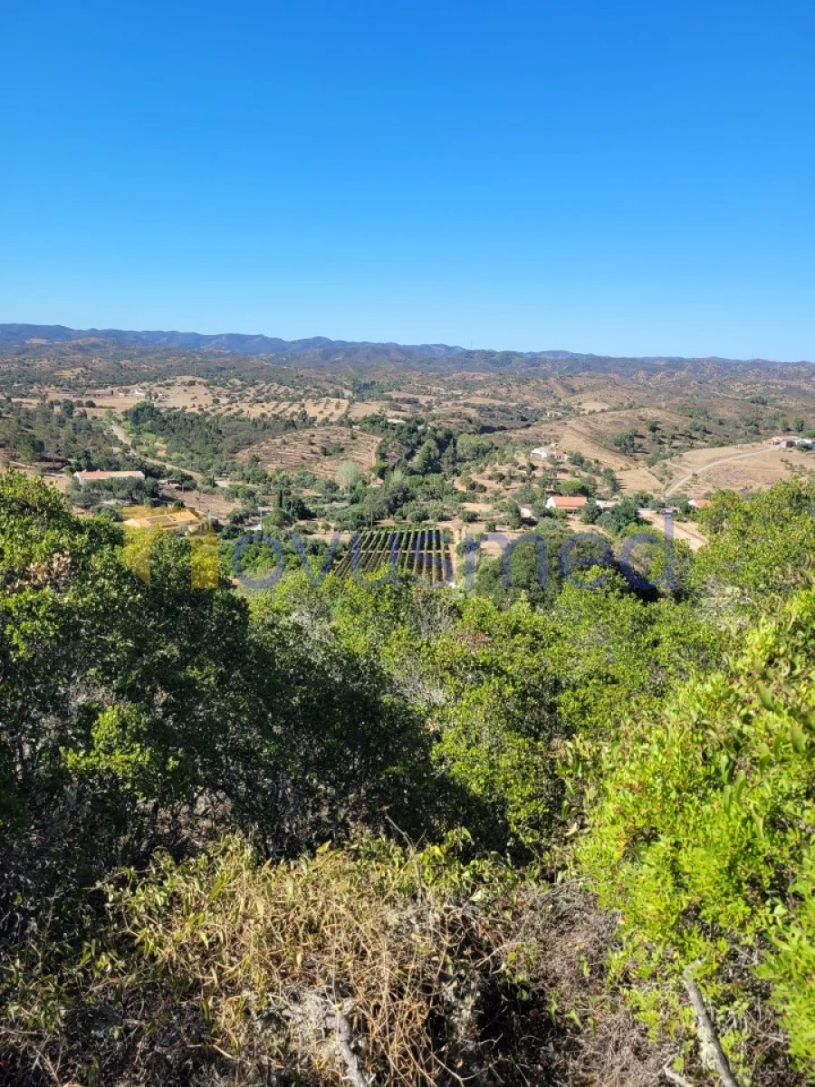 Terreno Misto para Venda em São Bartolomeu de Messines Foto 5