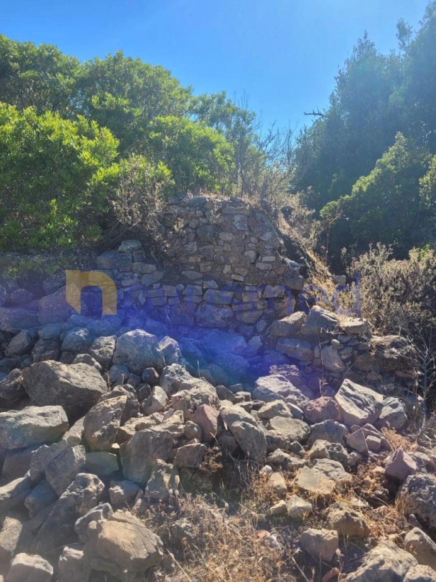 Terreno Misto para Venda em São Bartolomeu de Messines Foto 6