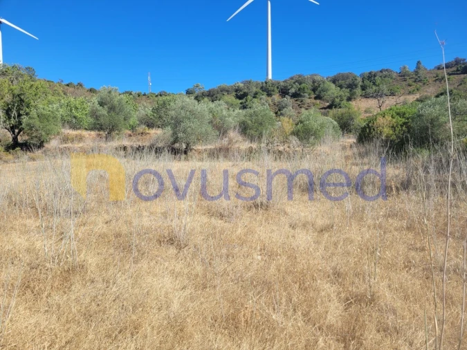 Terreno Misto para Venda em São Bartolomeu de Messines Foto 9