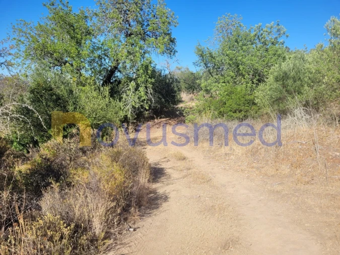 Terreno Misto para Venda em São Bartolomeu de Messines Foto 11