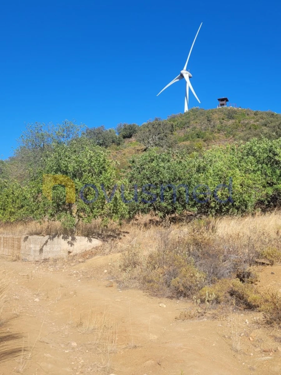 Terreno Misto para Venda em São Bartolomeu de Messines Foto 12