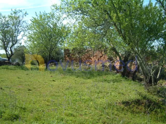 Terreno Misto para Venda em São Bartolomeu de Messines Foto 2