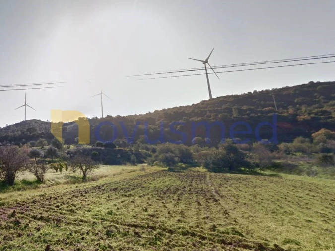 Terreno Misto para Venda em São Bartolomeu de Messines Foto 16