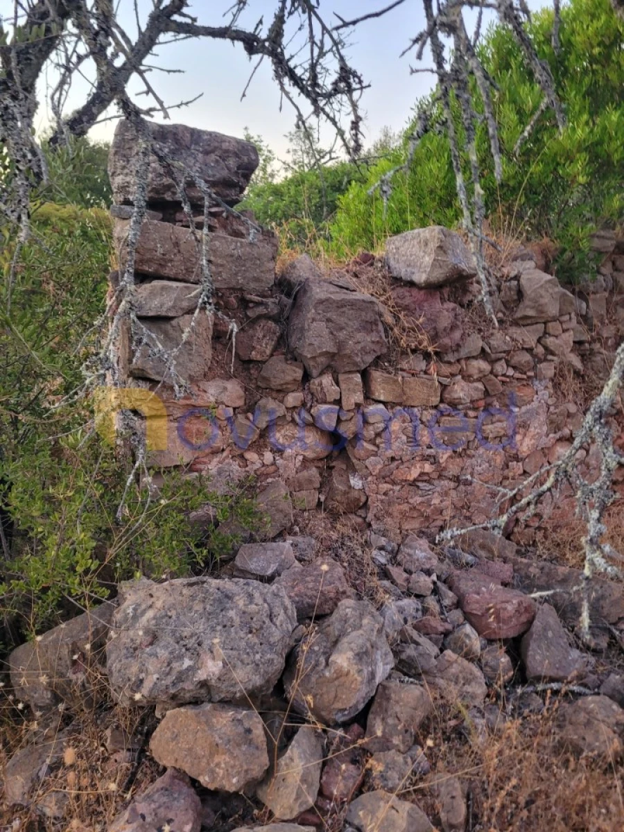 Terreno Misto para Venda em São Bartolomeu de Messines Foto 19